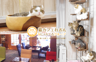 猫カフェれおん横浜店でXEM決済