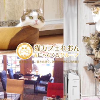 猫カフェれおん横浜店でXEM決済