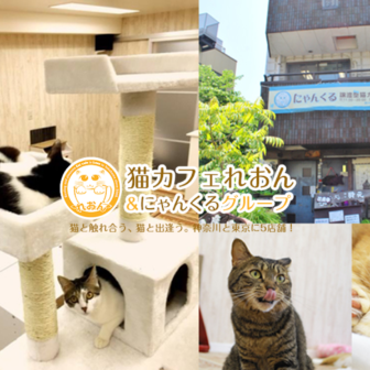 猫カフェにゃんくる鎌倉店でXEM決済